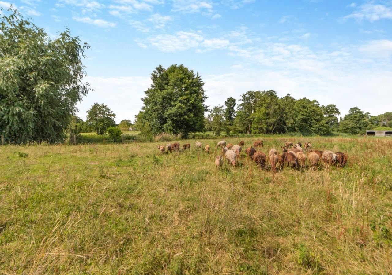 The Coach House - Norfolk Vila Oxborough Exterior foto
